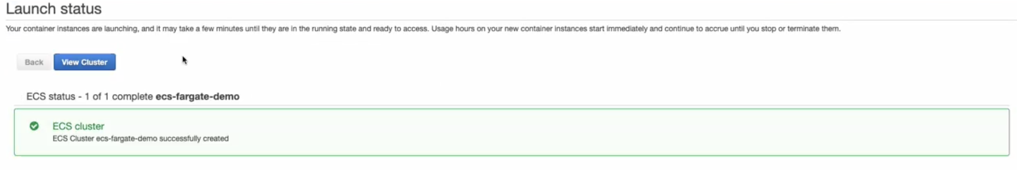 A launch status screen shows the ECS Cluster status